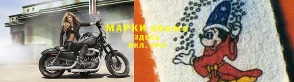 дмт Новозыбков