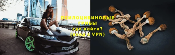 дмт Новозыбков