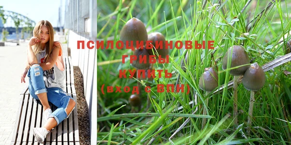 дмт Новозыбков