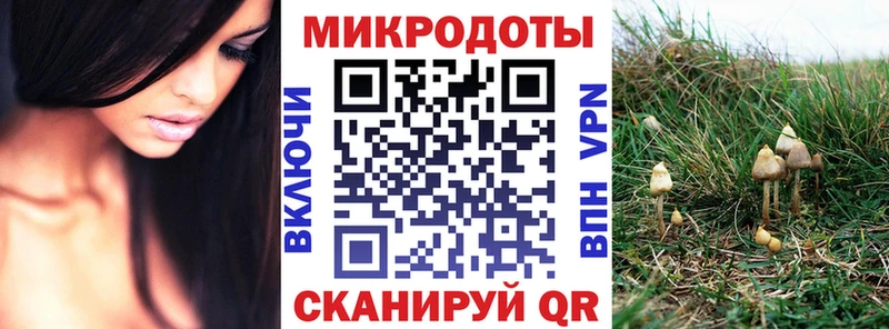 Купить закладки  Пошехонье  Галлюциногенные грибы ЛСД 